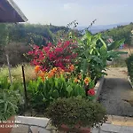 Aglaia House