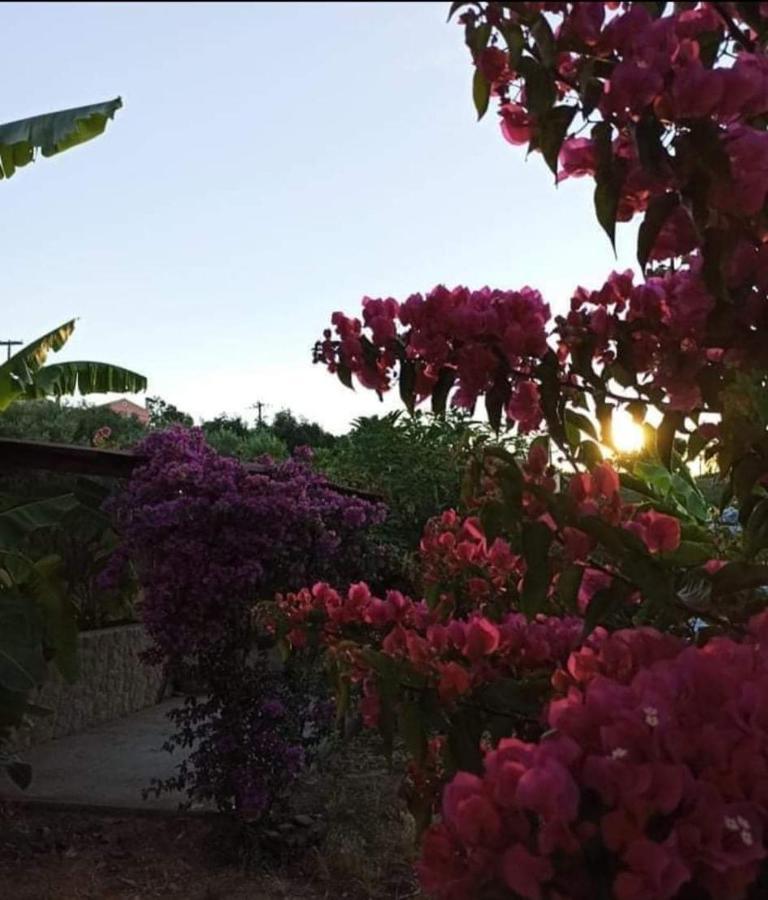 Vakantiehuis Aglaia House Kouspádhes