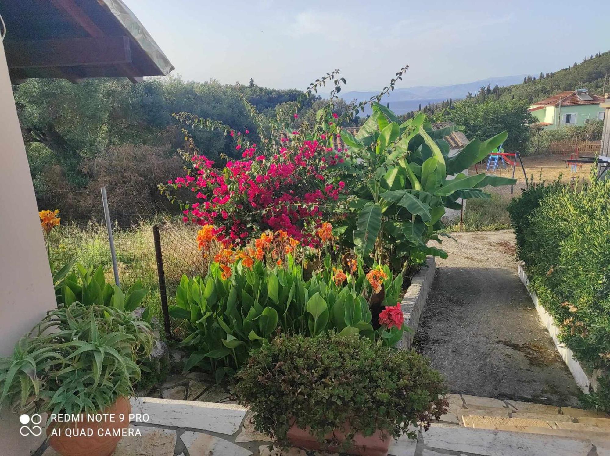 Aglaia House Vakantiehuis